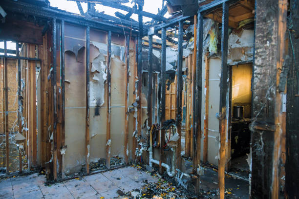Professional Soot Cleanup technician working in Gibsonburg, OH